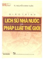 Giáo trình lịch sử nhà nước và pháp luật thế giới
