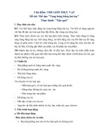 giáo án mầm non bài thể dục tung bóng bằng hai tay mới nhất 2020  kênh tài liệu việc làm giáo viên mầm non