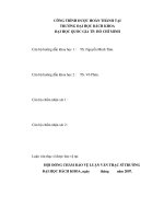 Nghiên cứu và lựa chọn giải pháp xử lý nền đường đắp cao trong điều kiện đất yếu khu vực đồng bằng sông cửu long  