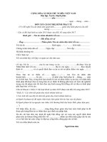 Mẫu đơn xin giảm nhẹ hình phạt tù