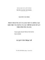 Phân tích ứng xử của đất nền và móng cọc khi chịu tác dụng của sự chênh lệch áp lực theo phương ngang  