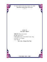 giáo án tổ chức hđnt chủ đề quan sát con mèo mới nhất 2020  kênh tài liệu việc làm giáo viên mầm non