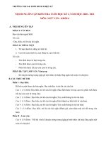 Đề cương ôn tập HKI - Môn Ngữ văn