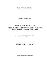 Lập kế hoạch marketting cho sản phẩm lipitor của công ty dược phẩm pfizer giai đoạn 2012 2014  