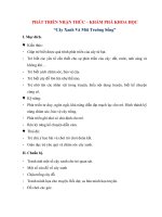 giáo án mầm non khám phá khoa học cây xanh và môi trường sống mới nhất 2020  kênh tài liệu việc làm giáo viên mầm non