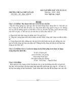 BÀI TẬP MÔN NGỮ VĂN LỚP 9 TUẦN 31