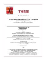 (Bi) metallic nanoparticles in glycerol synthesis, characterization and catalytic applications  