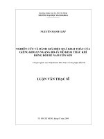 Nghiên cứu đánh giá hiệu quả khai thác của giếng khoan ngang rd 1x mỏ khai thác khí rồng đôi bể nam côn sơn  