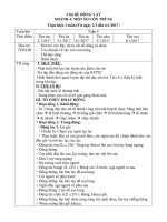 CHỦ ĐỀ ĐỘNG VẬT 4 - CÔN TRÙNG - LÁ