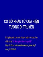 CƠ sở PHÂN tử của HIỆN TƯỢNG DI TRUYỀN ppt _ SINH HỌC (y dược)