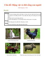 chủ đề động vật và đời sống con người