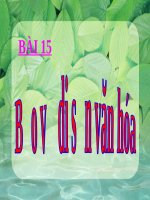 Bài giảng GDCD 7 bài 15 Bảo vệ di sản văn hóa | Lớp 7, GDCD - Ôn Luyện