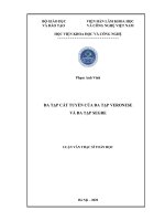 Thông tin tóm tắt về những đóng góp mới của luận văn thạc sĩ: Đa tạp cát tuyến của đa tạp Veronese và đa tạp Segre.