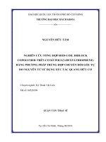 Nghiên cứu tổng hợp rod coil diblock copolymer trên cơ sở poly (3 hexylthiophene) bằng phương pháp trùng hợp chuyển đổi gốc tự do nguyên tử sử dụng xúc tác quang hữu cơ  