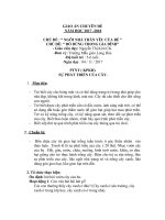 giáo án mầm non sự phát triển của cây  phát triển nhận thức mới nhất 2020  kênh tài liệu việc làm giáo viên mầm non