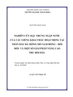 Nghiên cứu đặc trưng ngập nước của các giếng khai thác hoạt động tại thân dầu đá móng mỏ nam rồng   đồi mồi và một số giải pháp nâng cao thu hồi dầu  