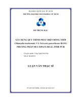 Xây dựng quy trình phát hiện đồng thời chlamydia trachomatis và neisseria gonorrhoeae bằng phương pháp multiplex real time pcr  