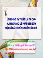 ỨNG DỤNG kỹ THUẬT LAI tại CHỖ HUỲNH QUANG để PHÁT HIỆN sớm một số bất THƯỜNG NHIỄM sắc THỂ ppt _ SINH HỌC (y dược)