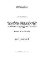 Đặc tính kỹ thuật phương pháp sóng siêu âm ảnh (sonic scanner) và ứng dụng để nghiên cứu đánh giá tính chất nứt nẻ của đá móng tại giếng hcd 5x, mỏ hải cẩu đen   bồn trũng cửu long  