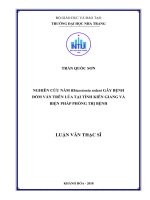 Nghiên cứu nấm rhizoctonia solani gây bệnh đốm vằn trên lúa tại tỉnh kiên giang và biện pháp phòng trị bệnh  