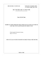 Thông tin tóm tắt về những đóng góp mới của luận án tiến sĩ: Nghiên cứu biến tính than hoạt tính làm vật liệu xử lý một số chất độc tồn tại dưới dạng ion trong nước.