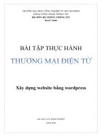 Bài tập thực hành Thương mạng điện tử: Xây dựng website bằng wordpress
