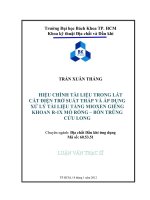 Áp dụng thuộc tính địa chấn để nâng cao hiệu quả phân tích tài liệu địa chấn phục vụ nghiên cứu dầu khí  lấy ví dụ mỏ bạch hổ bể cửu long   