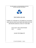 Nghiên cứu nuôi khuẩn lam (spirulina platensis) bằng phương pháp sạch trong hệ thống kín với môi trường khoáng cơ bản từ nước biển  