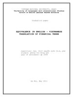 Equivalence in english vietnamese translation of financial terms