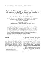 Nghiên cứu khả năng hấp phụ As(V) trong môi trường nước bằng bã bùn đỏ Tây Nguyên sau tách loại hoàn toàn nhôm và các thành phần tan trong kiềm