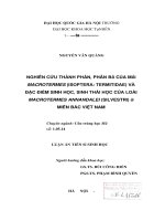 Nghiên cứu thành phần, phân bố của mối Macrotermes (Isoptera : Termitidae) và đặc điểm sinh học, sinh thái học của loài Macrotermes Annandalei (Silvestri) ở miền bắc Việt Nam