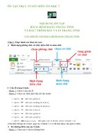 ÔN TẬP TRỰC TUYẾN - TIN HỌC 7 - HKII - Bài 6 Và Bài 7