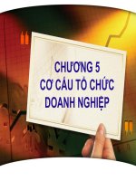 Bài giảng tham khảo môn Quản trị kinh doanh - Chương V: Cơ cấu tổ chức doanh nghiệp