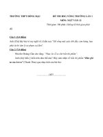 Đề thi chọn HSG cấp trường môn Ngữ Văn lớp 12 năm 2017-2018 lần 1 - THPT Đồng Đậu mới nhất năm 2021