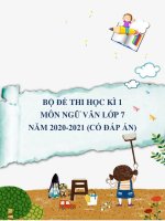 Bộ đề thi học kì 1 môn Ngữ văn lớp 7 năm 2020-2021 (Có đáp án)