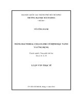 Màng bacterial cellulose cố định bạc nano ứng dụng  