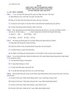 Bài tập ôn tập môn Lịch sử lớp 11 tuần năm nghỉ phòng dịch Covid-19 (Từ 06.4.2020 đến 12.4.2020)