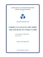 Nghiên cứu sản xuất viên nhiên liệu dân dụng từ vỏ hạt cà phê  