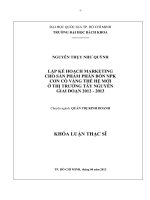 Lập kế hoạch marketting cho sản phẩm phân bón npk con cò vàng thế hệ mới ở thị trường tây nguyên giai đoạn 2012 2013  