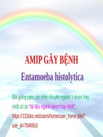AMIP gây BỆNH (entamoeba histolytica) ppt _ KÝ SINH TRÙNG