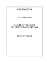 Nhận thức về đạo mẫu của giới trẻ hà nội hiện nay