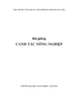 Canh tác nông nghiệp