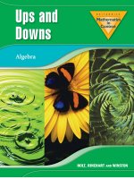 ABELS Algebra Ups and downs