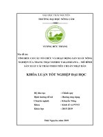 Tìm hiểu cơ cấu tổ chức và hoạt động sản xuất nông nghiệp của trang trại Yoshio Takamizawa mô hình sản xuất cải thảo theo tiêu chuẩn Nhật Bản (Khóa luận tốt nghiệp)