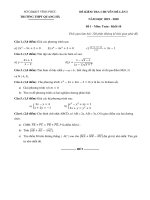 Đề kiểm tra chuyên đề môn Toán 10 năm 2019-2020 có đáp án - Trường THPT Quang Hà (Lần 1)