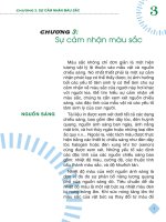 Giáo trình Lý thuyết màu - Chương 3: Sự cảm nhận màu sắc