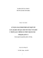 Sử dụng maltodetrin và gum arabic để hạn chế tổn thất vitamin c trong quá trình sấy phun dịch sơ ri  