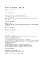 Đáp án trắc nghiệm kinh tế vi mô – EG13 