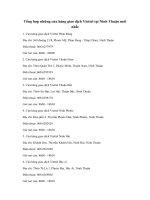 Các cửa hàng giao dịch Viettel tại Ninh Thuận mới nhất