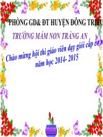 Giáo án văn học: Truyện hai anh em